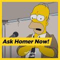 Simprovised Ask Homer Now.jpg