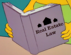 Real Estate Law.png