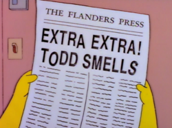 The Flanders Press.png
