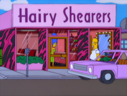 Hairy shearers.png